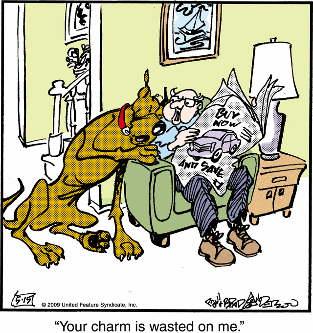 marmaduke